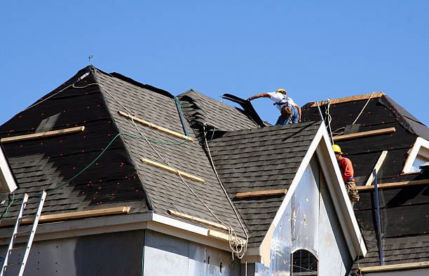 Best Roof Moss and Algae Removal  in , RI